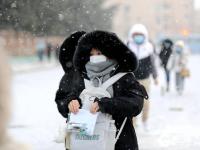 大雪中，考研拉开帷幕！ 