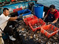 观海视觉2021年鉴⑧：用最热忱的方式记录