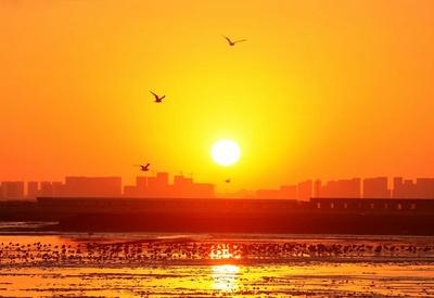 晚霞、候鸟、天际线……赵家岭海滩，约么