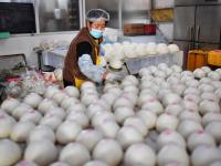 萌宠级别不忍下口！“虎妞”花馍迎新春