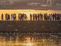 人看鸥？鸥看人？最近栈桥忒热闹！