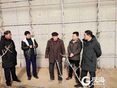 教村民做电商，青岛市教育局驻村干部把职业教育课堂开在田间