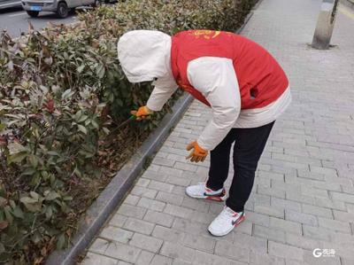 市北区：凝聚多方力量 提升基层治理