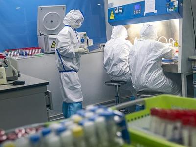 港科大研究显示：人体T细胞免疫反应可有效应对奥密克戎