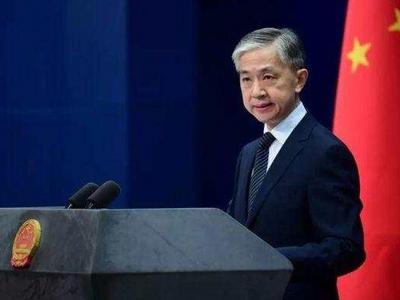立陶宛影子内阁发声明希望立政府纠正错误，中方回应