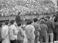 城市影像档案：冬储大白菜