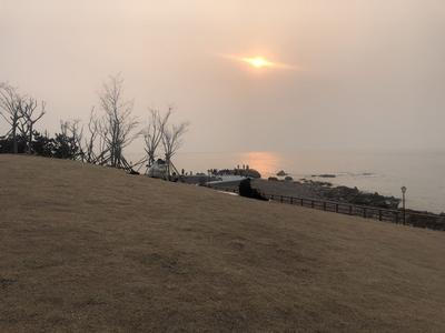 您爱的城市·这里有变化|深度改造提升服务 小麦岛公园“网红”要“长红”