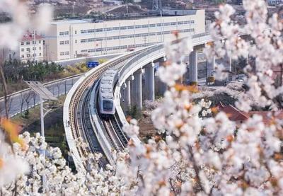“轨道上的竞争”日趋激烈！青岛稳住全国第十、北方第二