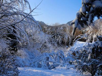 中东部两轮大范围雨雪接连登场！部分地区有暴雪