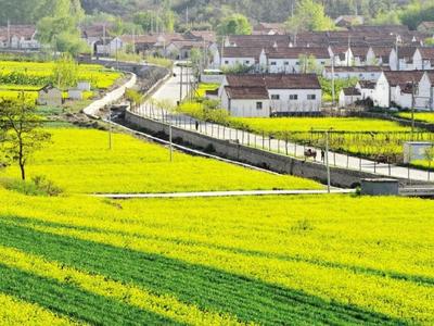 着力补齐农村人居环境短板 | 人民时评