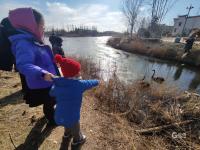 许多人还不知道！青岛这里竟藏着一处天鹅湖