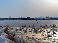 观海视觉2021年鉴⑳：取景框里的寒暑轮转