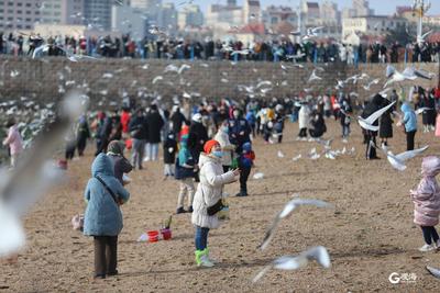 2022第一天 岛城市民开启元旦假期模式