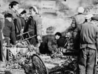 城市影像档案：冬储大白菜