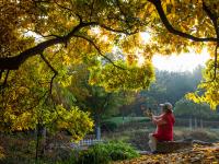 观海视觉2021年鉴⑳：取景框里的寒暑轮转