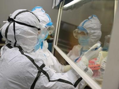 国家卫健委：昨日新增本土确诊病例163例，其中天津80例、河南68例