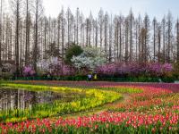 观海视觉2021年鉴⑳：取景框里的寒暑轮转