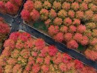 观海视觉2021年鉴⑲：摄影中的工业之美