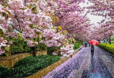 观海视觉2021年鉴⑳：取景框里的寒暑轮转