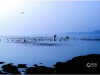 观海视觉2021年鉴⑰：火热的生活在镜头里