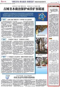 “三我”特刊|诸葛汇·人才策