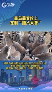 萌宠吃上“腊八大餐”