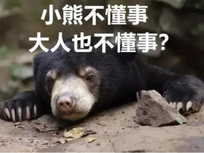 什么？！有人给上海动物园马来熊投喂喜茶？