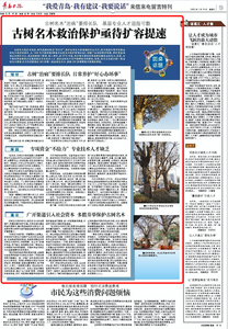 “三我”特刊|圆桌话题·古树名木救治保护亟待扩容提速