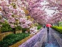 观海视觉2021年鉴⑳：取景框里的寒暑轮转