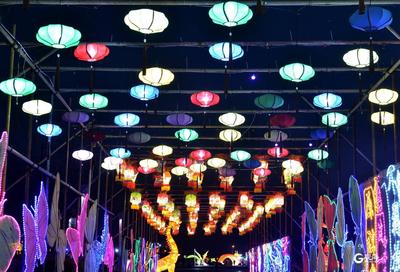 汇泉广场亮灯 “虎年吉祥”迎新春