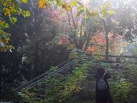 观海视觉2021年鉴⑳：取景框里的寒暑轮转