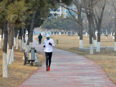 青岛的湿地有多美？这座国家级海洋公园给你答案