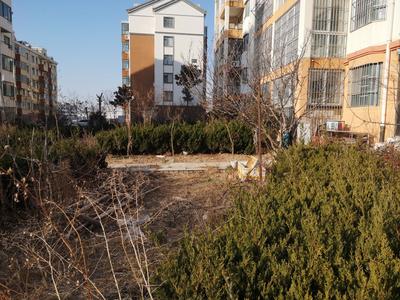 记者回访|私搭乱建被拆 小区公共空间被“打开”