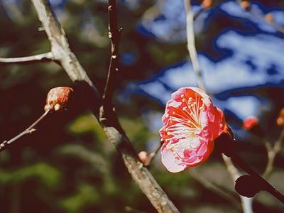 有一种青岛，叫三月光影 |早春信号③