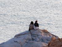 海边晚霞有多美？早春风光“天花板”来了