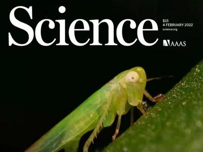 开门红！中国学者研究成果登上Science封面