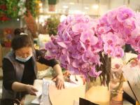 99支玫瑰卖到千元？情人节“浪漫经济”升温
