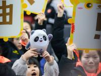 拼搏过就是英雄！青岛短道速滑小队员为他们呐喊