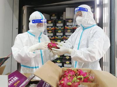 1.76万吨进口水果！青岛市民春节期间对进口水果需求翻番