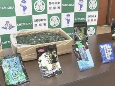 ​鳗鱼、蛤蜊后，又有日企用中国裙带菜冒充日产被查