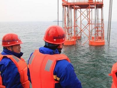 驻青三所高校教师团队上榜第二批全国高校黄大年式教师团队