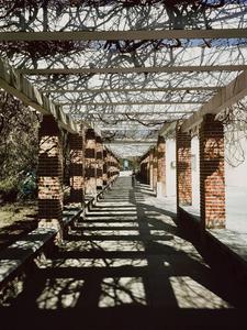 有一种青岛，叫三月光影 |早春信号③