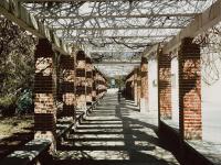 有一种青岛，叫三月光影 |早春信号③