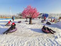 雪场忒火！来看青岛“后冬奥”镜头