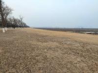 青岛的湿地有多美？这座国家级海洋公园给你答案