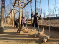 风景赛江南！青岛这里的春天按下快进键