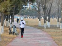 青岛的湿地有多美？这座国家级海洋公园给你答案