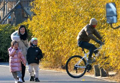风景赛江南！青岛这里的春天按下快进键