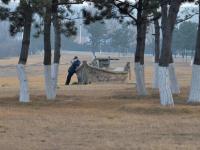 青岛的湿地有多美？这座国家级海洋公园给你答案