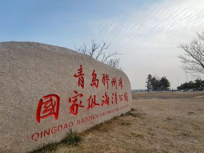 青岛的湿地有多美？这座国家级海洋公园给你答案